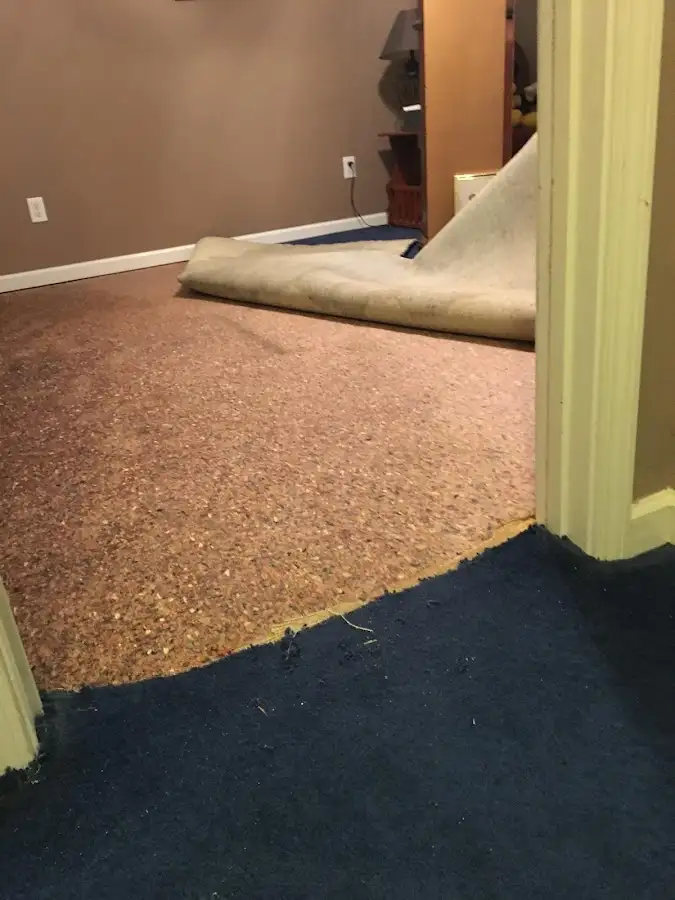 Carpet pad removal revealing water damage during Drying & Dehumidification in Marysville