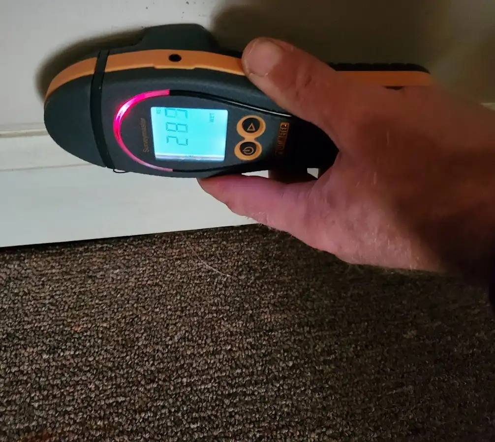 Moisture detection at baseboard during Mold Inspection & Testing in Marysville